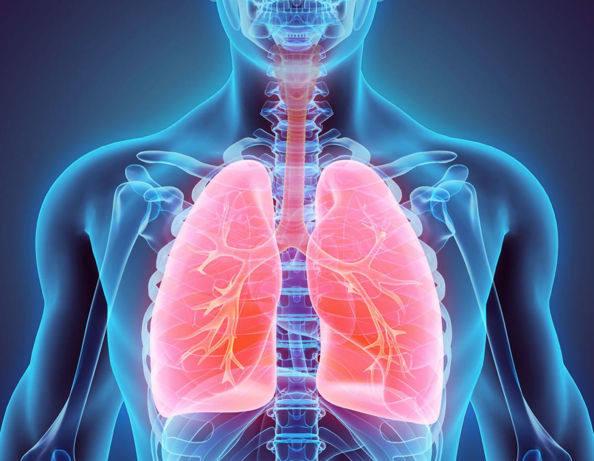 Check up microbiologico · Alte vie respiratorie