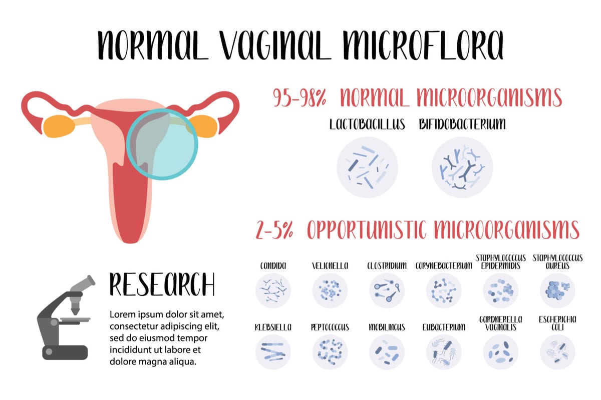 Microbioma vaginale